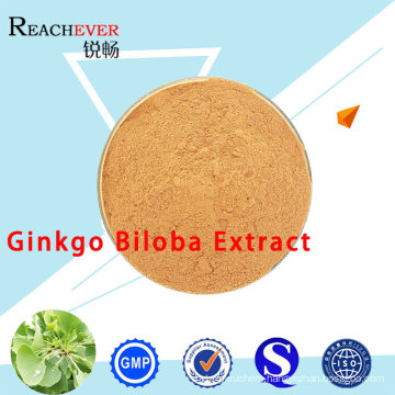 Natural Plant Extract Ginkgo Biloba with GMP Certification